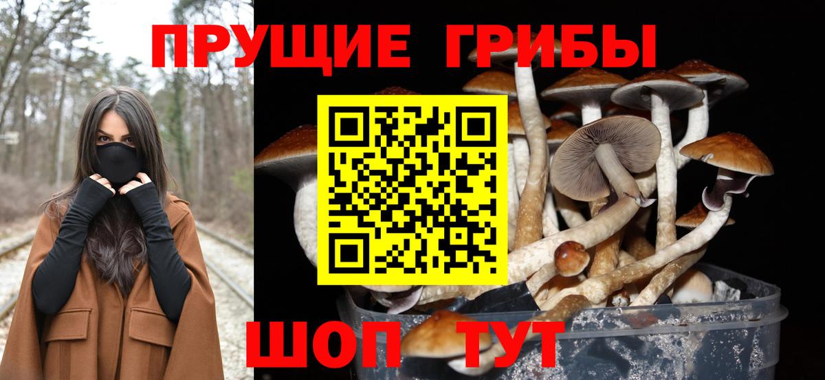 Галлюциногенные грибы Cubensis Новошахтинск